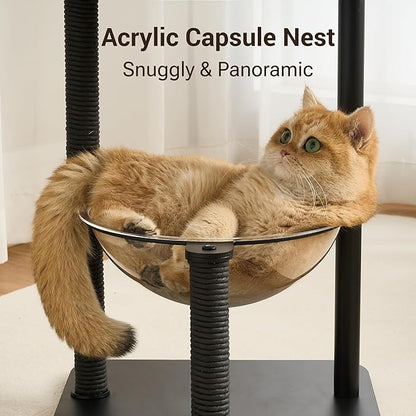 Modern Cat Tree Tower for Indoor Cats up to 12lbs, Wood Cat Bed - Image 3