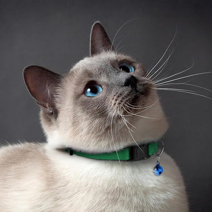 Breakaway Cat Collar with Bell - Image 6