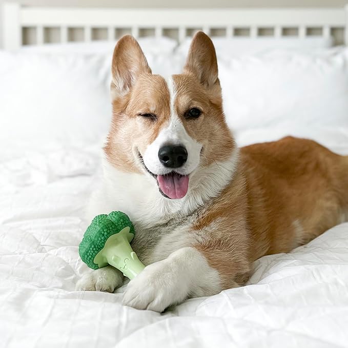 Nylabone Broccoli Power Chew Toy - Image 2