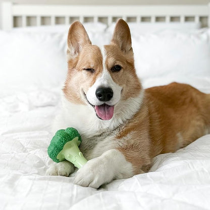 Nylabone Broccoli Power Chew Toy - Image 2