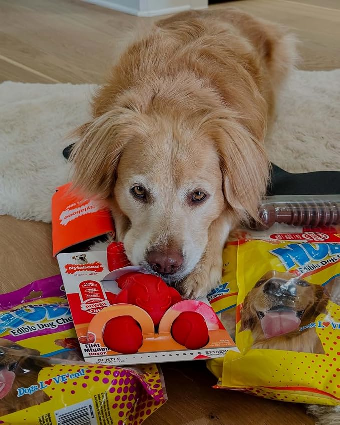 Nylabone Textured Dental Bone Power Chew Toy - Image 3