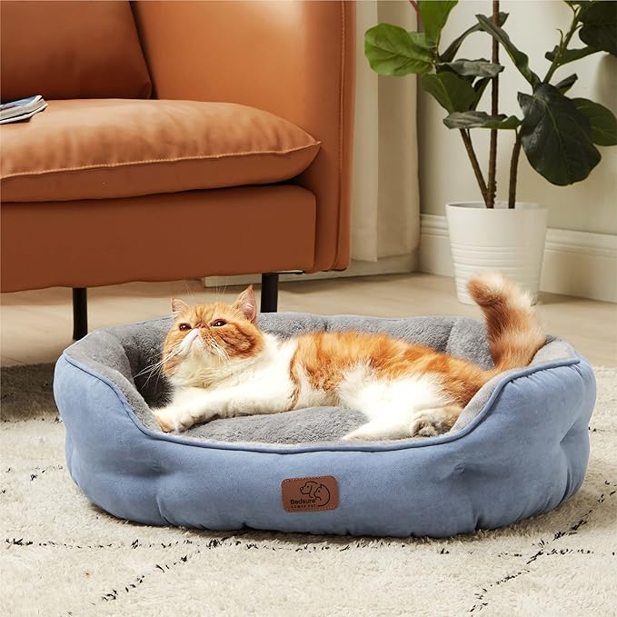 Bedsure Dog Beds for Small Dogs - Image 8