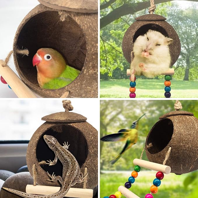 Hanging Coconut Birds House - Image 4