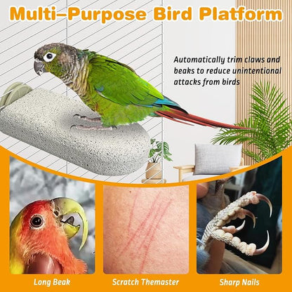 PINVNBY 6 PCS Large Bird Cage Perch Natural Parrot Beak Grinding Stone Calcium - Image 5