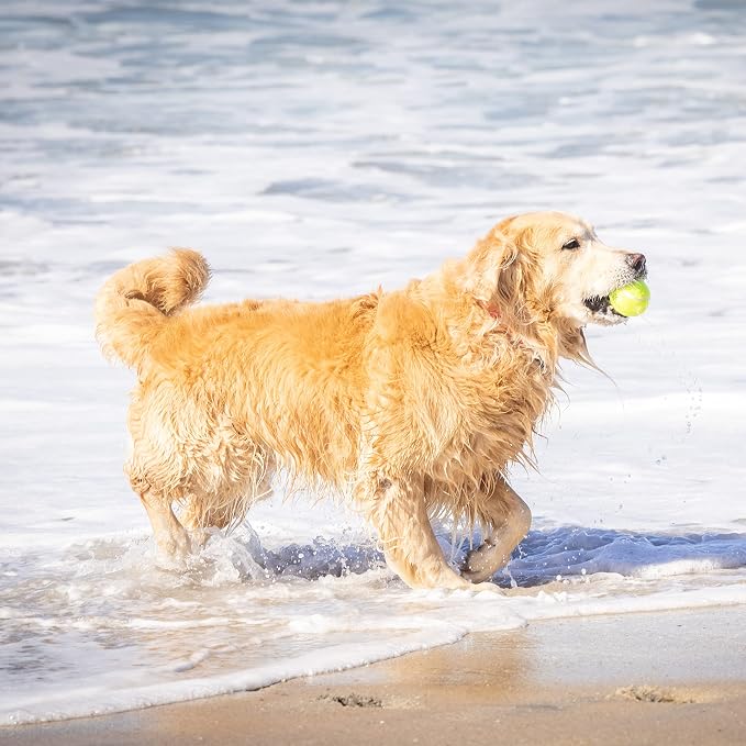 Hyper Pet Tennis Balls for Dogs - Image 7