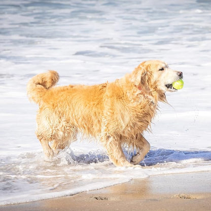 Hyper Pet Tennis Balls for Dogs - Image 7