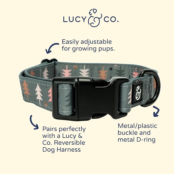 Lucy & Co. Take a Hike Adjustable Dog Collar- Cute Designer Pet Collar - Image 2