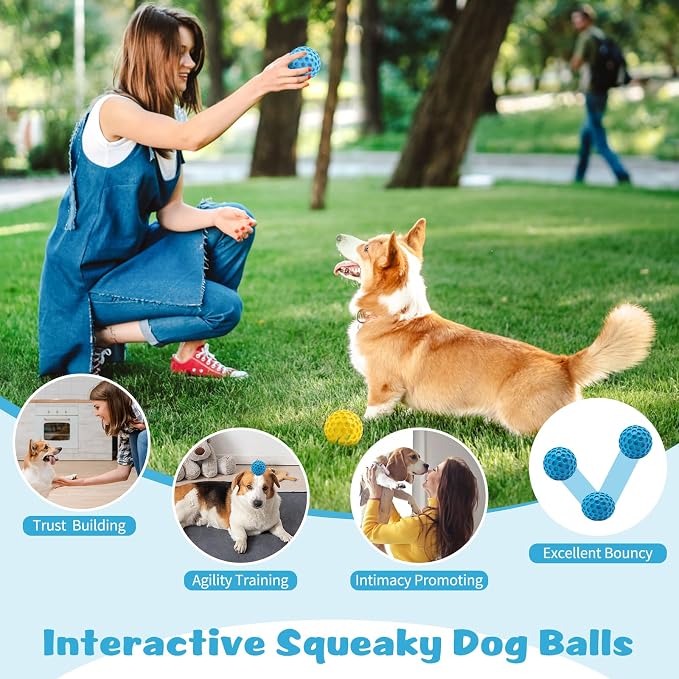 HIPPIH Indestructible Squeaky Dog Toys, Interactive Dog Balls 2 Pack, Dog Chew - Image 6