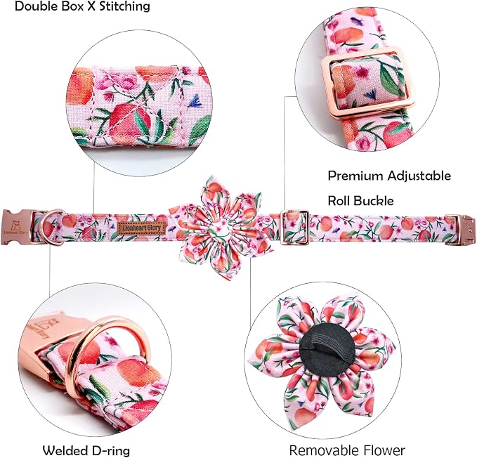 Lionheart Glory Pink Peach Dog Collar - Image 2