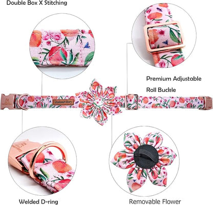 Lionheart Glory Pink Peach Dog Collar - Image 2