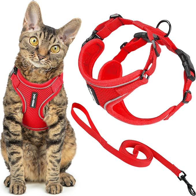 Voyager Escape-Proof Step-in Lock Cat Harness & 5ft Neoprene-Handle Leash Set by BestPetSuppliesLLC