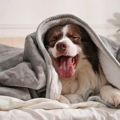 gogobunny Waterproof Pet Blanket - Image 5