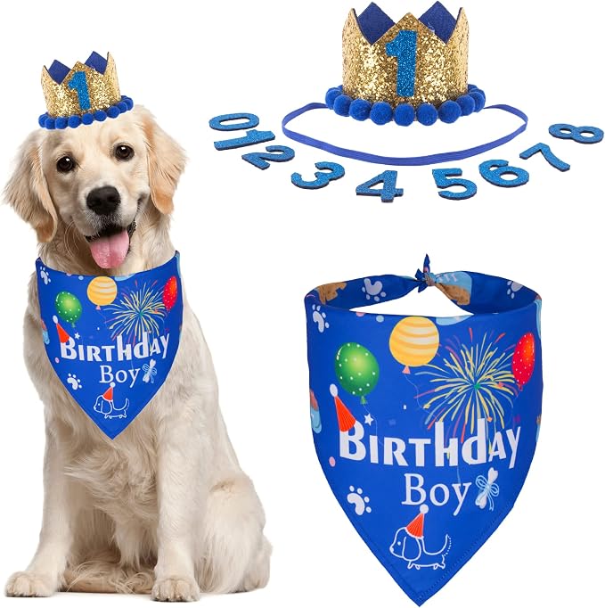 ADOGGYGO Dog Bandana Hat Set for Birthday Party Supply, Boy Girl Pet Birthday by ADOGGYGO