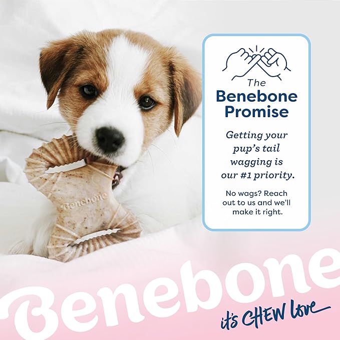 Benebone Puppy 2-Pack Dental Chew/Wishbone Real Chicken Small - Image 6