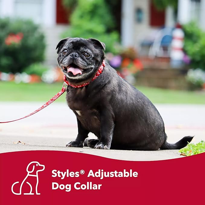 Coastal Pet Styles Adjustable Dog Collar - Image 3