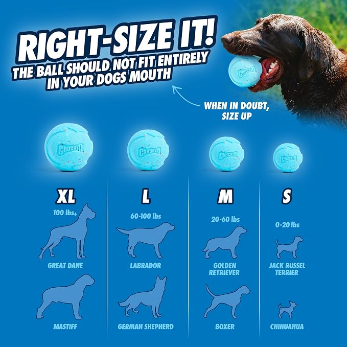 Chuckit! Rebounce Ball Dog Toy - Image 7