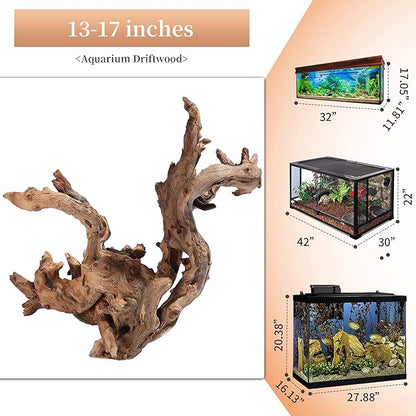 majoywoo Natural Large Driftwood - Image 2