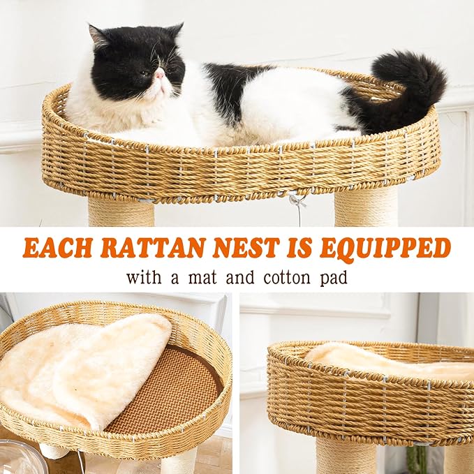 Modern Cat Tree for Indoor Cats, Wood Cat Tree - Image 3