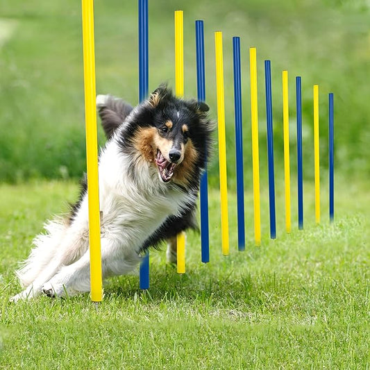 Pet Prime Dog Agility Training Equipment by PetPrime