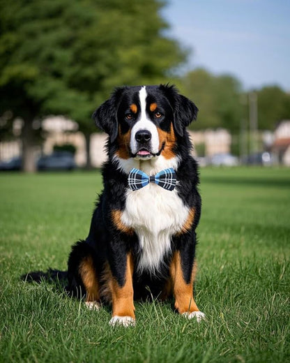 PET SHOW 8 Pack Plaid Big Dogs Collar Bow Ties - Image 7
