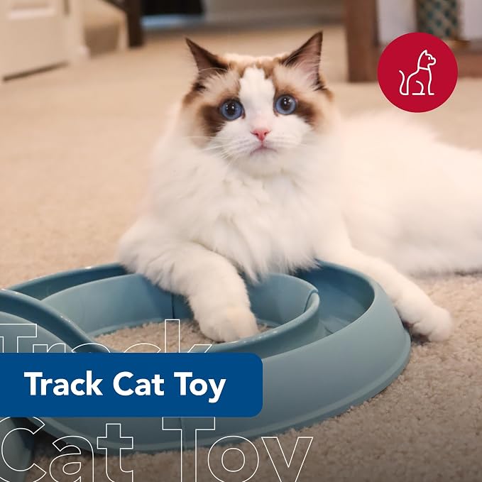Coastal Pet Turbo Track Cat Toy - Image 2