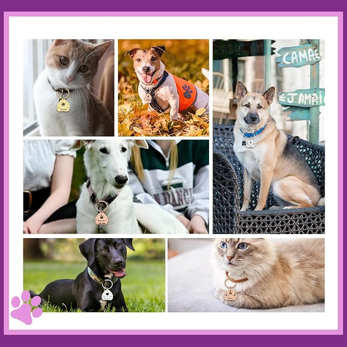 Goth Cat Tags Personalized Halloween Gifts - Image 7
