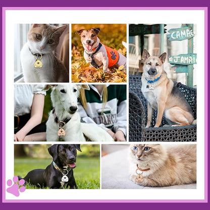 Goth Cat Tags Personalized Halloween Gifts - Image 7