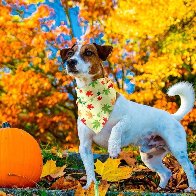 Weewooday 50 Pcs Thanksgiving Fall Dog Bandanas Bulk Pumpkin Maple Leaves - Image 7