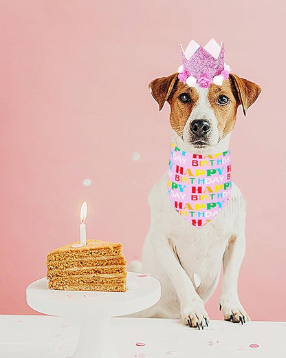 PET SHOW Pink Crown Hat Dog Birthday Party Supplies - Image 6