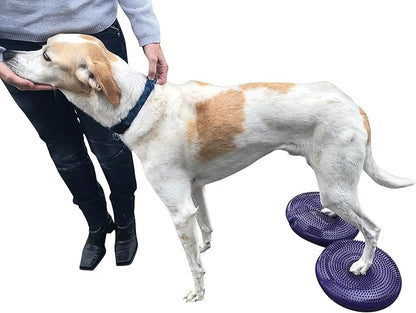 Dog Balance Disc Cushion 14" - Image 5