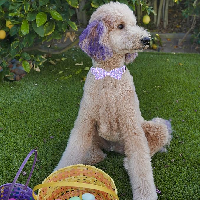MR. CHUBBYFACE Easter Dog Collar Rabbit Puppy Collar - Image 4