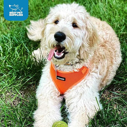 Voyager Step-in Pet Harness - Image 10