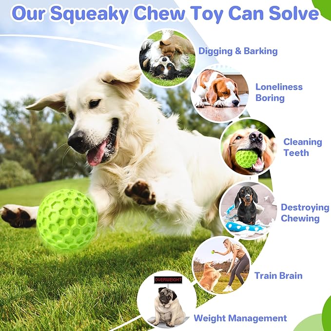 Interactive Squeaky Dog Balls, Dog Toys - Image 5