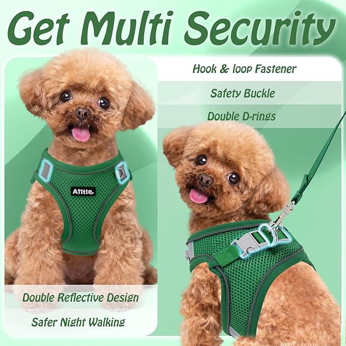 AIITLE Easy Walk Dog Harness and Leash Set - Image 9