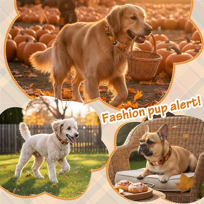 Cotton Fall Dog Collar, Halloween Dog Collars - Image 7