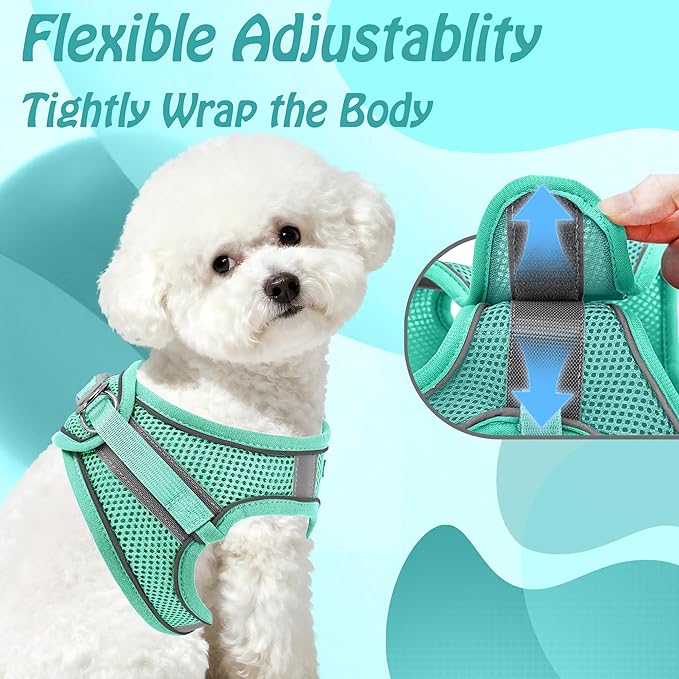 AIITLE Easy Walk Dog Harness and Leash Set - Image 3