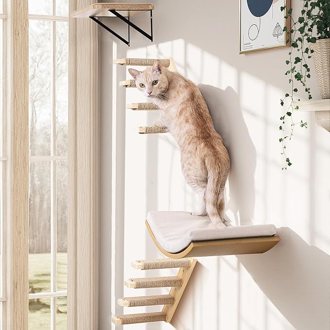 Cat Wall Shelves with Cats Window Perch – 4-Piece Wooden Cat Climbing Furniture by PELUOMOZ