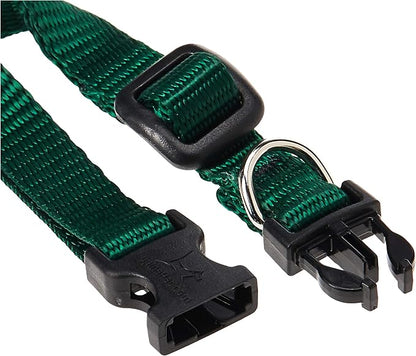 LupinePet Basics 1/2" Green 8-12" Adjustable Collar - Image 2