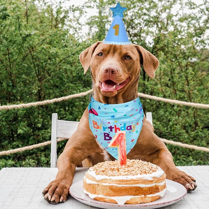Dog Boy Girl Birthday Party Hat, Dog Birthday Party Supplies, Birthday Bandana - Image 7