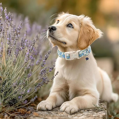 Blueberry Pattern Dog Collar, Cute Light Blue Spring Summer Puppy Collar - Image 5