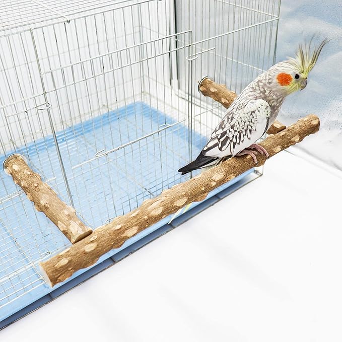 Large Natural Pepper Wood Parrot Stand Branch, Wooden Perch by Dnoifne