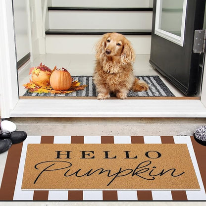 Tinideya 2 Pcs Door Mat Welcome Non Slip Coir Mats Floor Layering Doormats - Image 6
