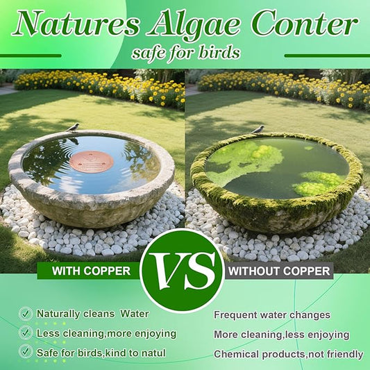 Bird Bath Copper Disk, Sturdy 1mm 99.9% Pure Copper Disk, Triple-Point Support - Image 2