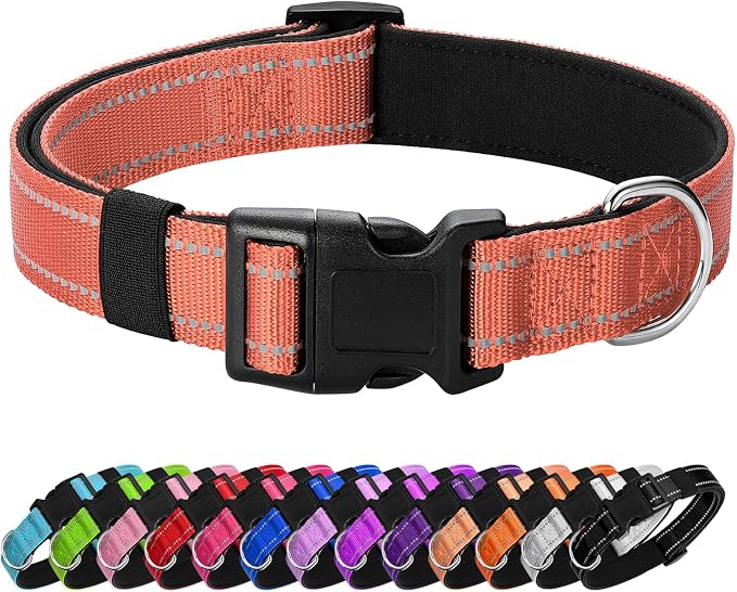 Reflective Dog Collar Padded by Penseepet