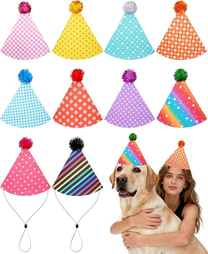 PET SHOW 10 Pack Party Hats for Large Dog Birthday Stuffed Animals Adults XL by PETSHOW
