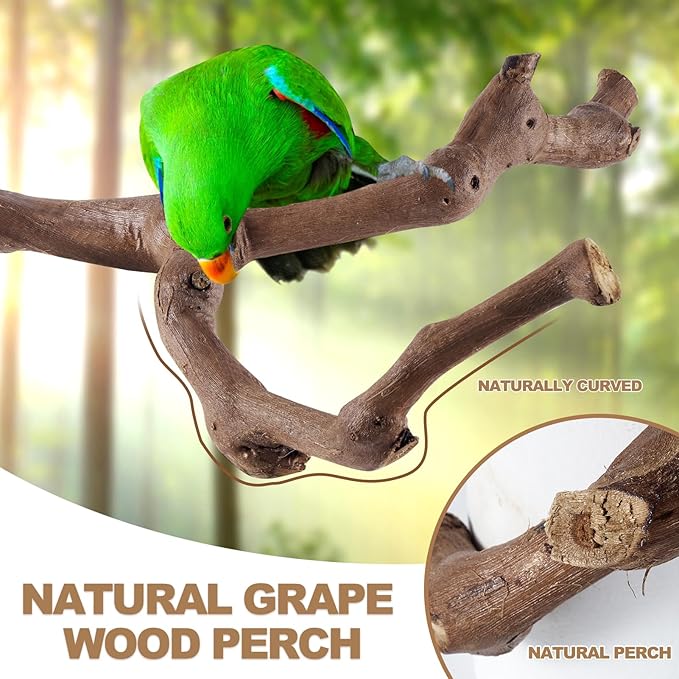6-Piece Bird Perch Set - Image 2