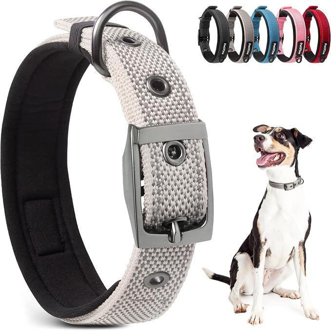 PetiFine Dog Collars for Small Dogs, Neoprene Padded Dog Collar, Reflective by PetiFine