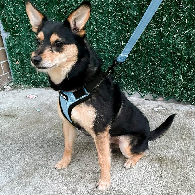Voyager Step-in Pet Harness - Image 8