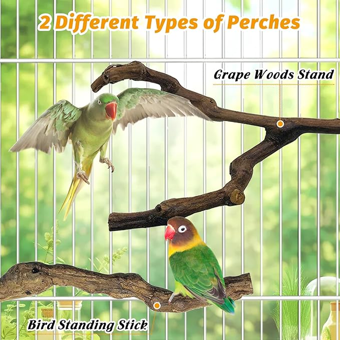 kathson 5pcs Natural Parrot Perch - Image 4