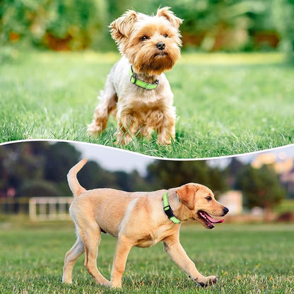 Reflective Dog Collar Padded - Image 2